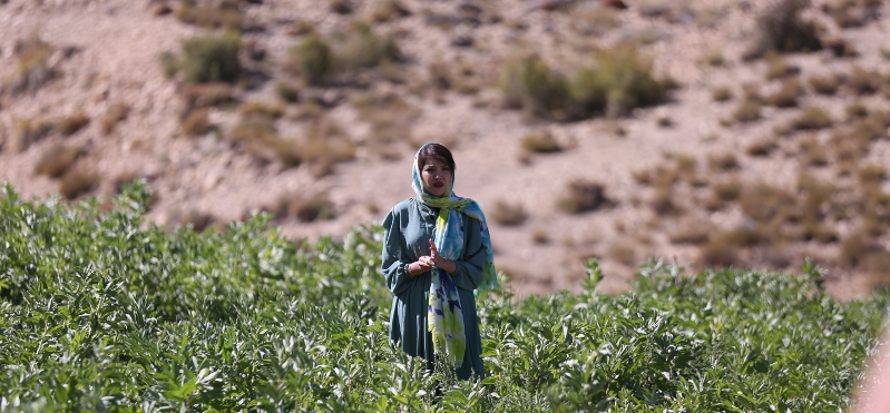 Eine Frau steht in einem Feld, im Hintergrund karge Landschaft