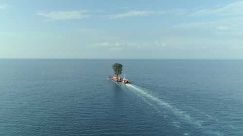 Die Weite des Meeres. In der Mitte ein Containerschiff mit einem riesigen Baum an Bord.